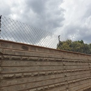 WhatsApp Image 2025-10-08 at 10.22.53 AM (1)